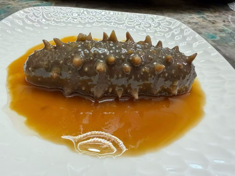 大连莱参岛鲜食辽参即吃辽参鲜食海参肉质Q弹海参味浓有韧性