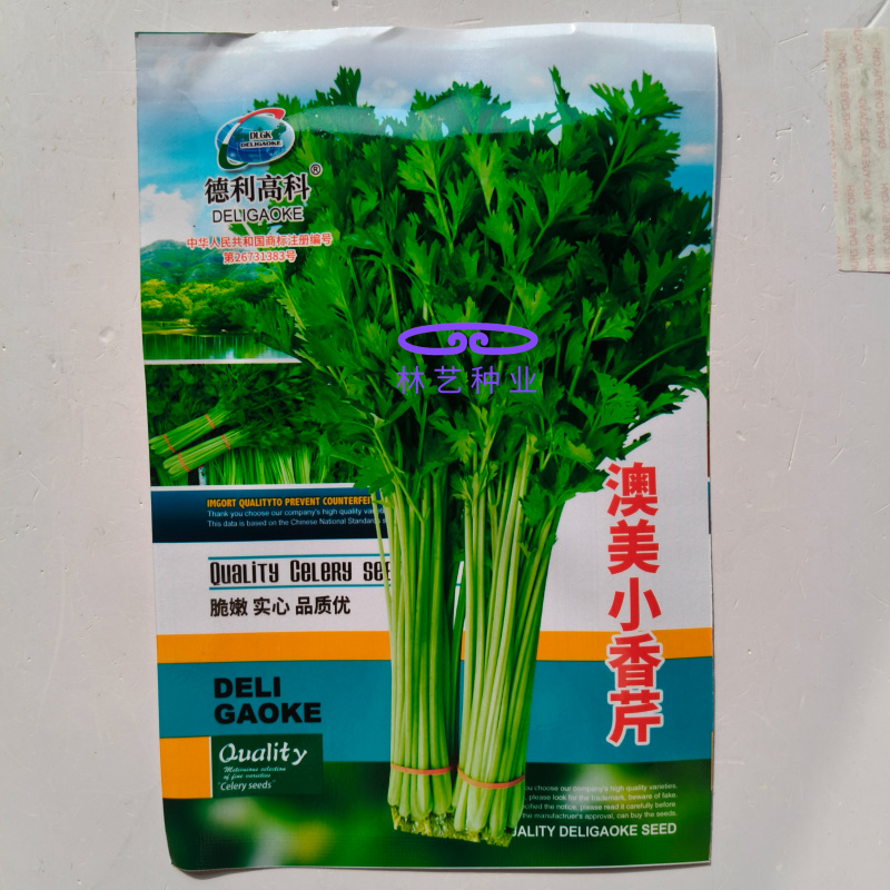 澳美小香芹种子脆嫩四季小芹菜四季蔬菜盆栽
