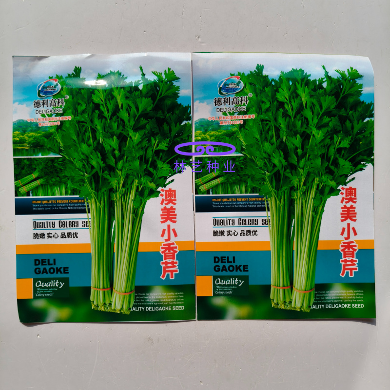 澳美小香芹种子脆嫩四季小芹菜四季蔬菜盆栽