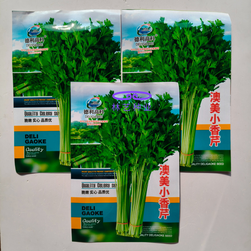 澳美小香芹种子脆嫩四季小芹菜四季蔬菜盆栽