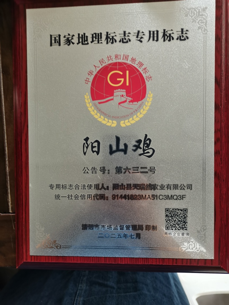 广东省阳山县正宗原种阳山鸡