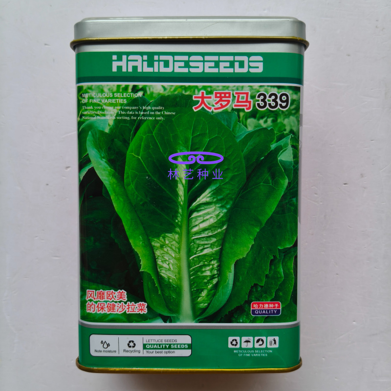 大罗马339孔雀菜种子早熟夏秋菜园生菜沙拉菜种籽脆嫩易种