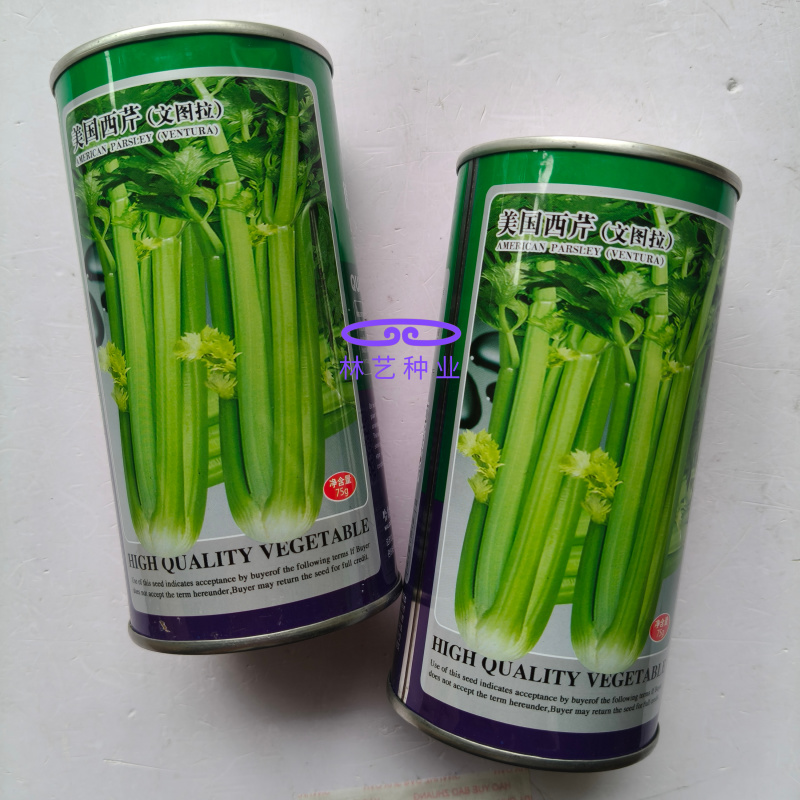 美国西芹文图拉芹菜种子高产耐寒耐热耐抽苔宽厚心实脆嫩蔬菜