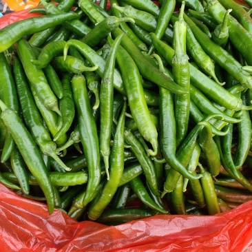 鲜辣椒
