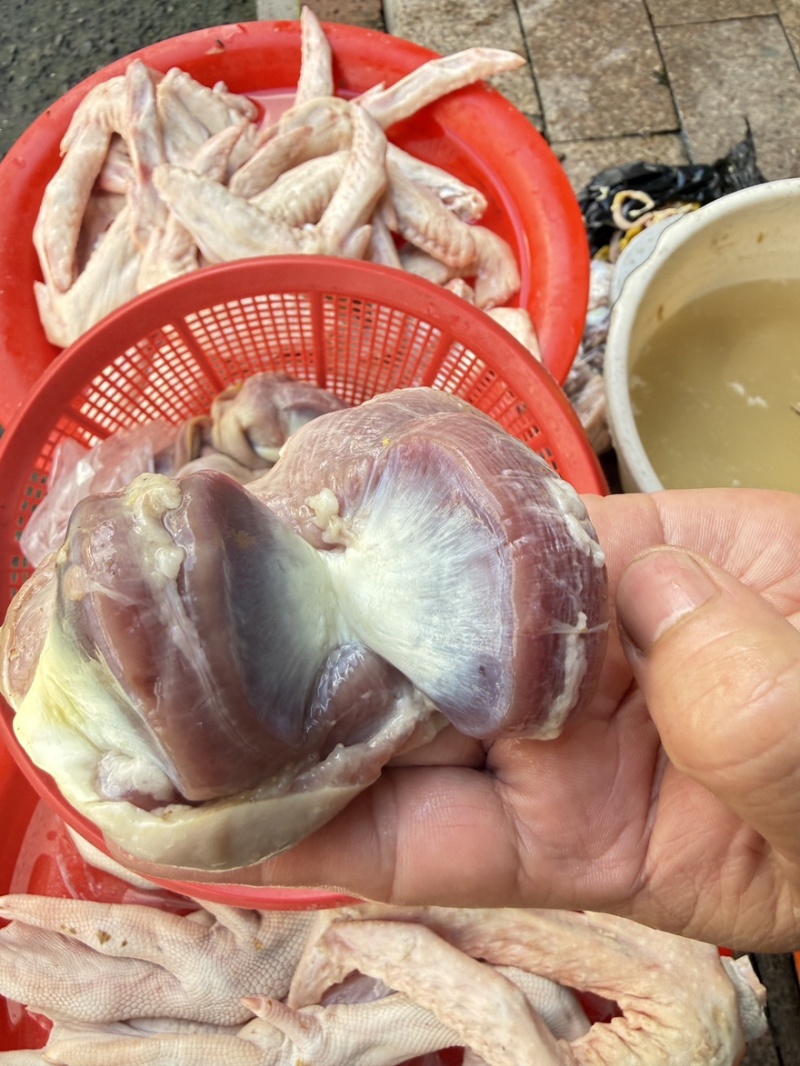 现宰鲜大鸭胗个个饱满无注水
