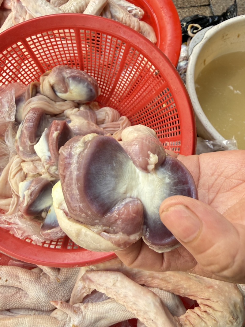 现宰鲜大鸭胗个个饱满无注水