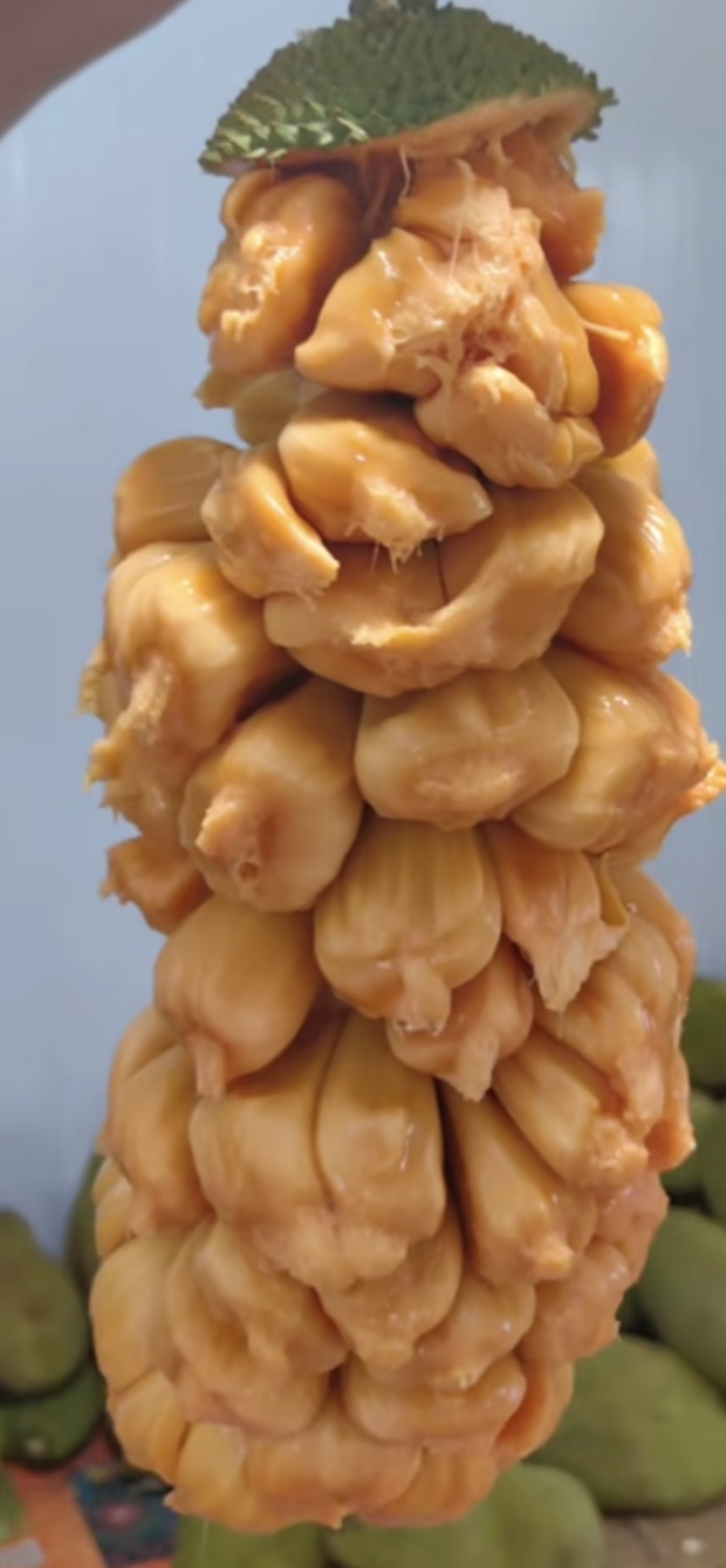 海南香蜜一号榴莲蜜苗嫁接良品，全国发货