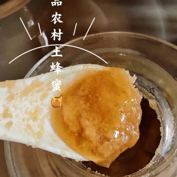 甘肃农家土蜂蜜