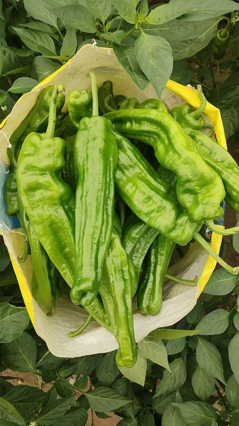 有意者联系，价格详谈