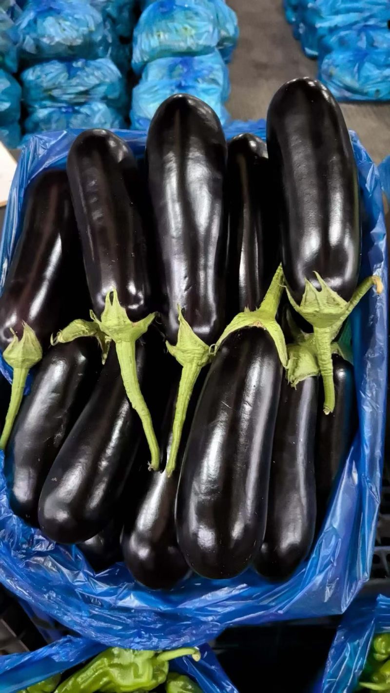 有意者联系，价格详谈