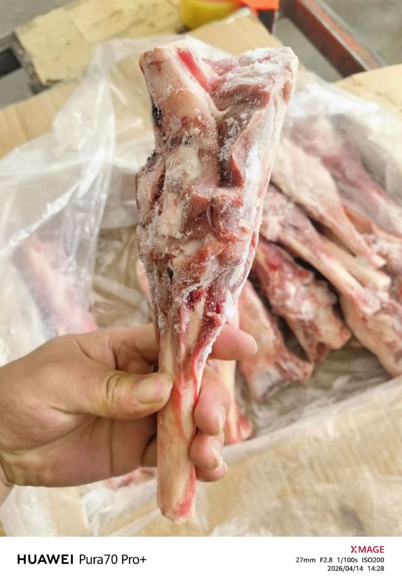 羊小腿