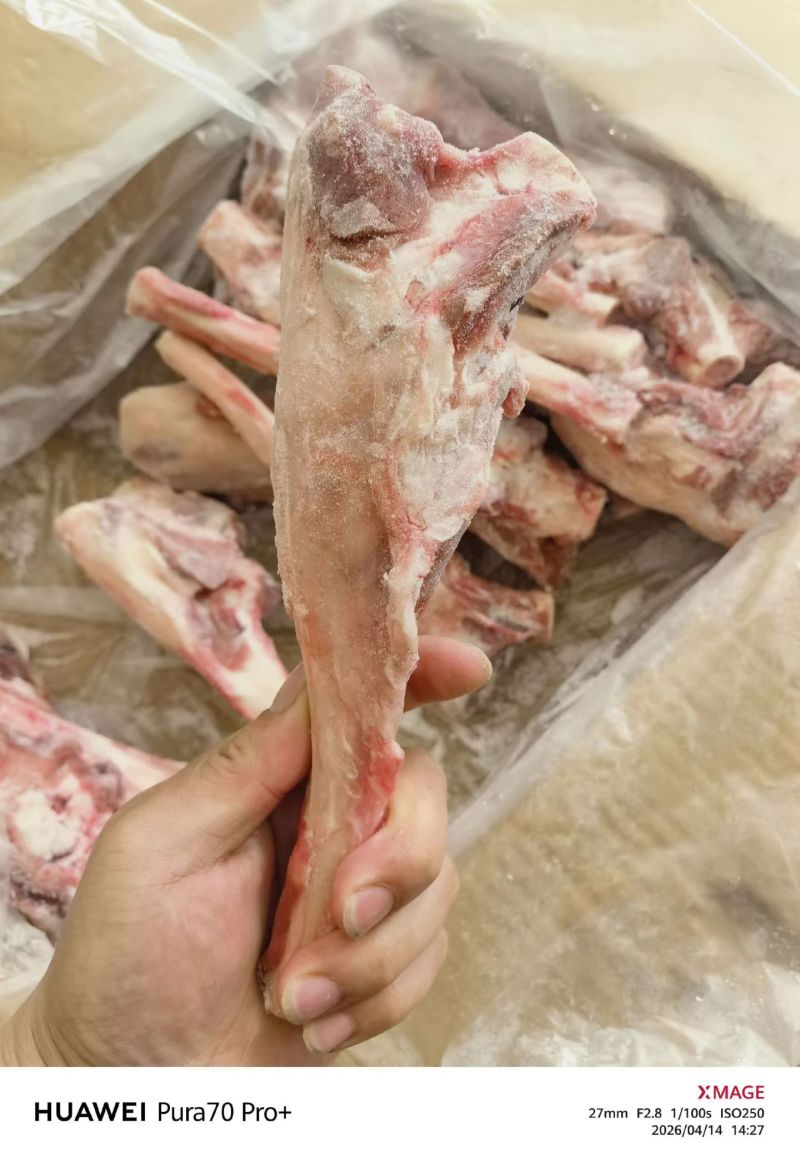 羊小腿