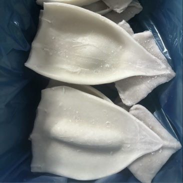 【生鱿鱼片】阿根廷鱿鱼片