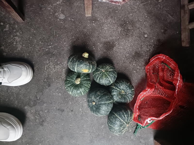 贝贝南瓜基地批发价格货源充足质量保证个头大