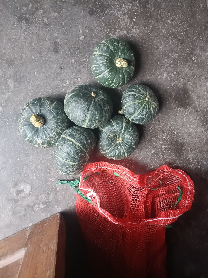 贝贝南瓜基地批发价格货源充足质量保证个头大