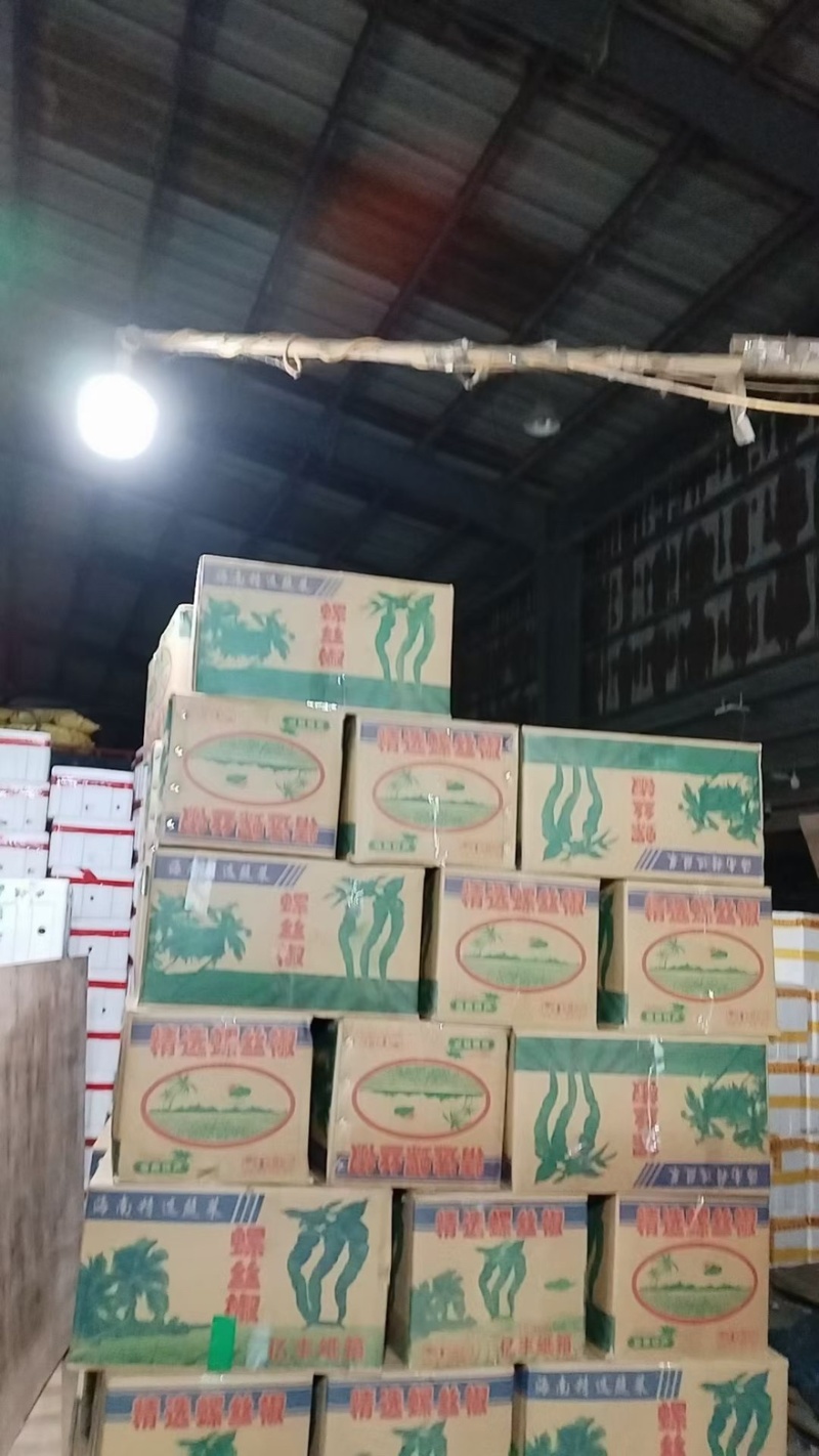 湖北螺丝椒品质保证诚信经营欢迎联系接商超市场电商