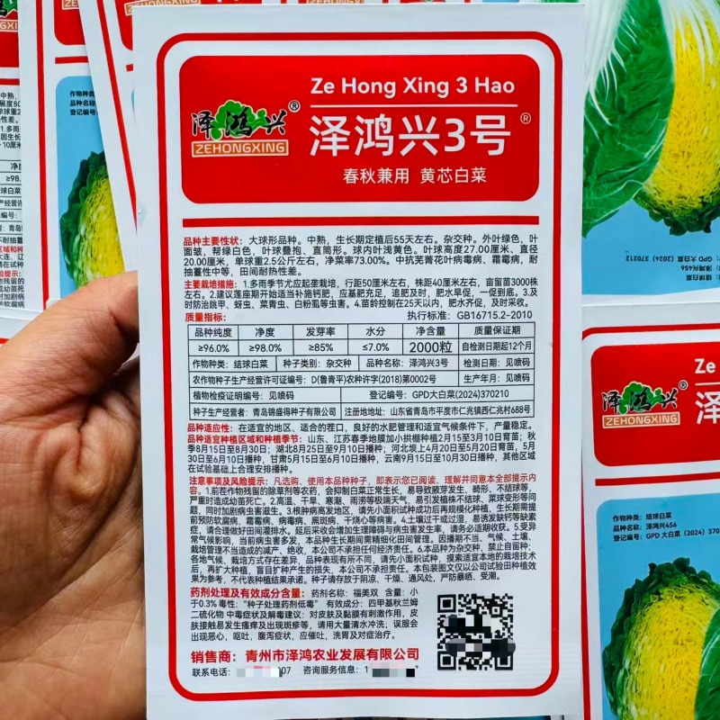 泽鸿兴3号大白菜种子杂交黄心大白菜种籽春秋两季黄芯白菜种