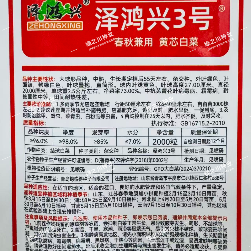 泽鸿兴3号大白菜种子杂交黄心大白菜种籽春秋两季黄芯白菜种