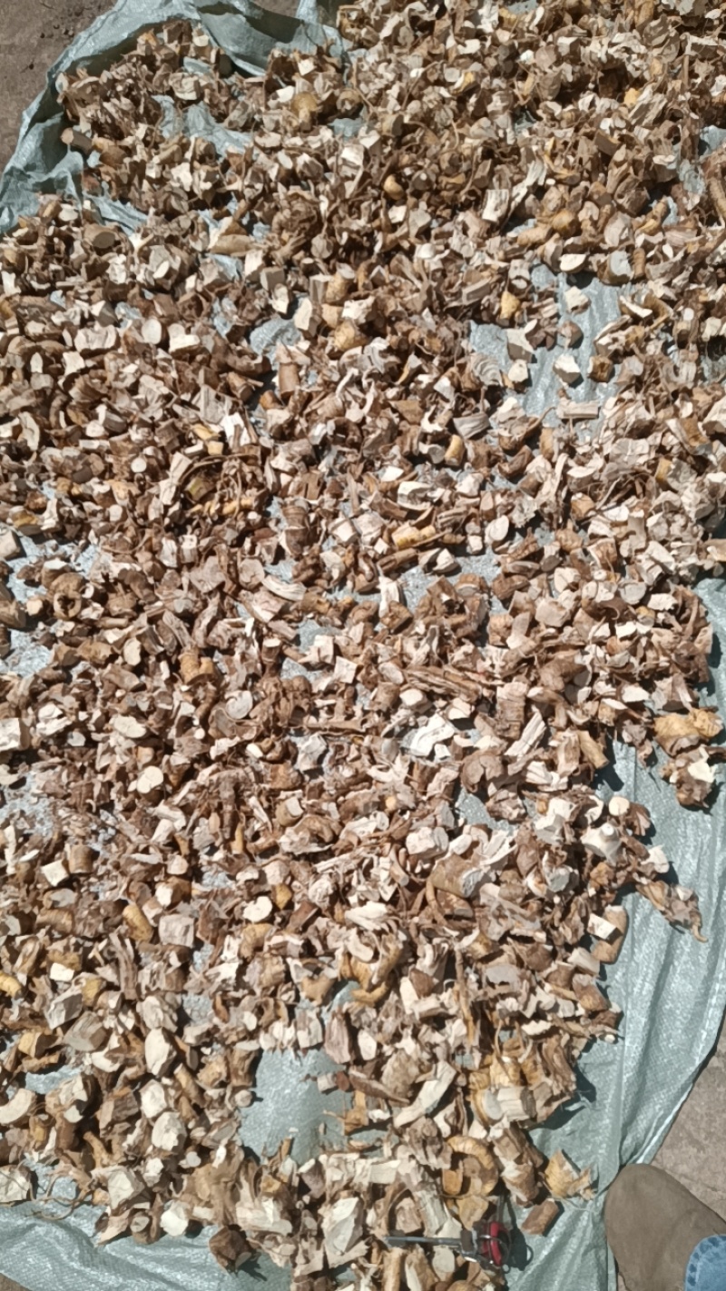 正宗五指毛桃头块，老根大块料，煲汤泡茶香味浓郁