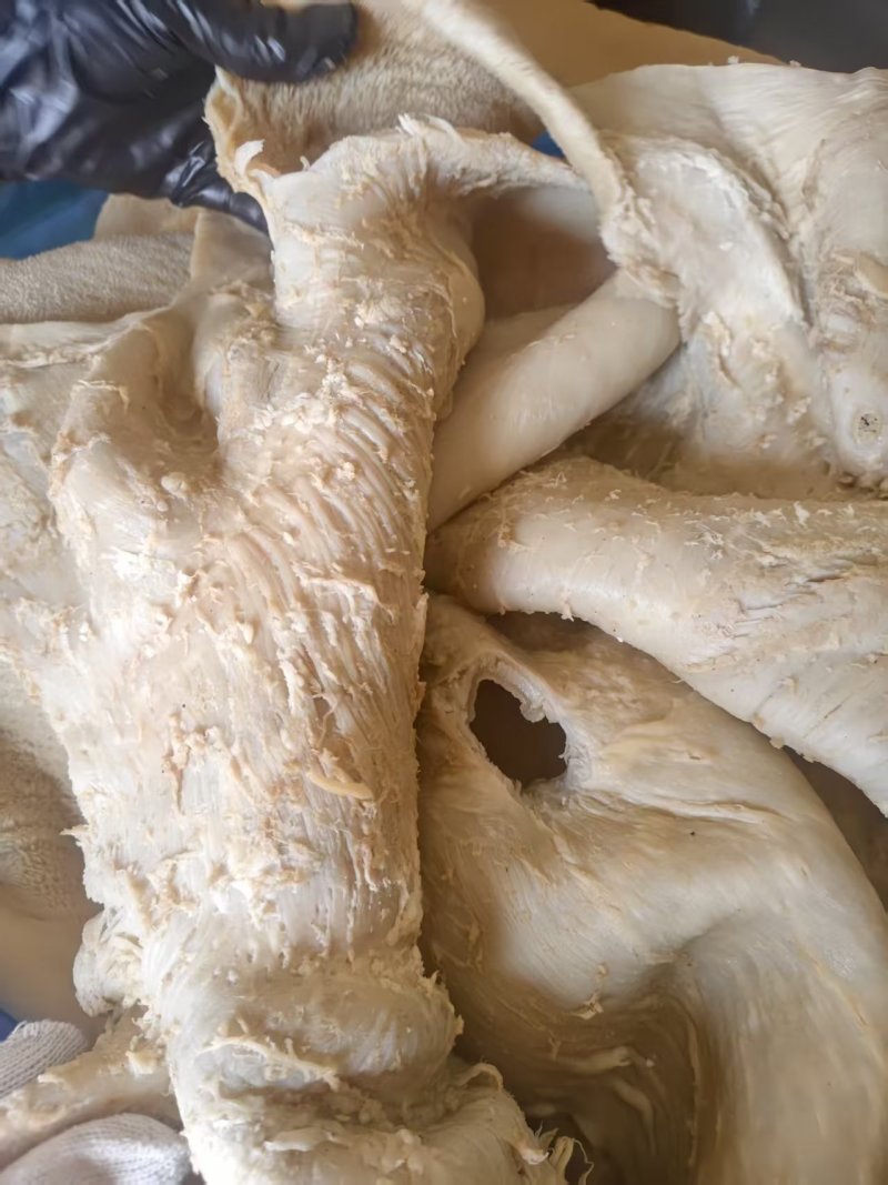 精修五香牛肚，开袋即食，纯干无冰！