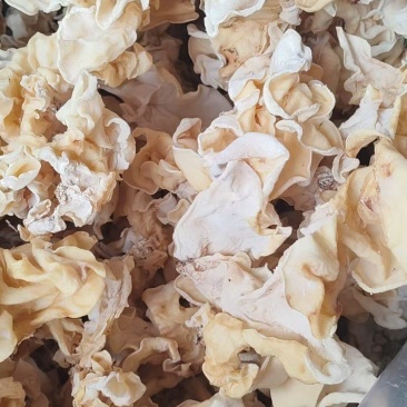 白木耳炒菜凉拌木耳白木耳丝白木耳螺蛳粉专用