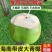 海南椰子批发全国发货