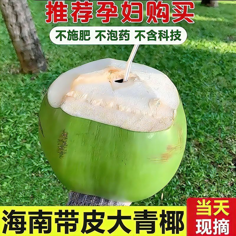 海南椰子批发全国发货