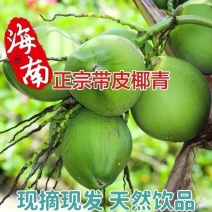 海南椰子批发全国发货