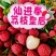 广州增城仙进奉荔枝皇后产地直供可零售可批发