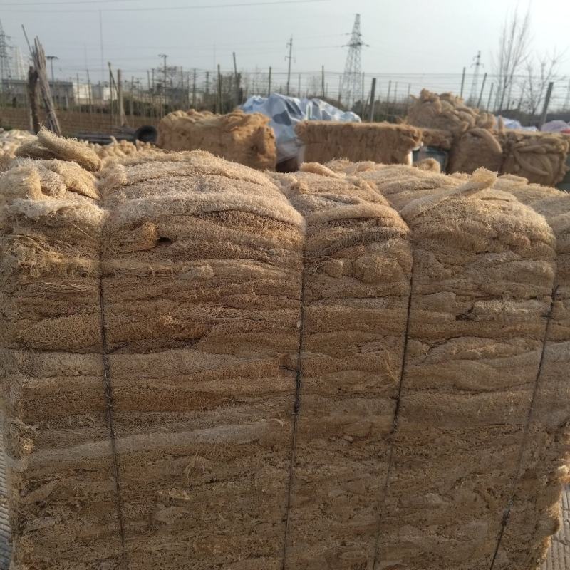 丝瓜络统货丝瓜仁丝瓜络切片饮片丝瓜络产地直发