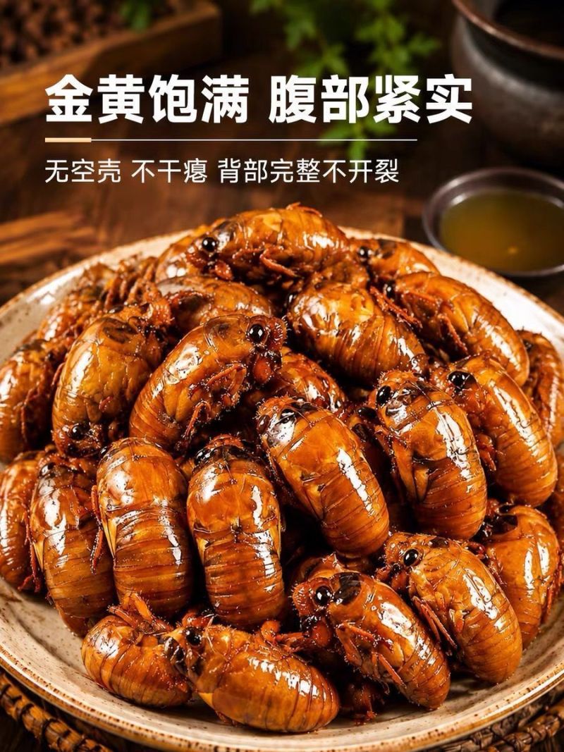 顺丰速度2026年野生新货炸爬叉金蝉知了猴爬叉现抓速发