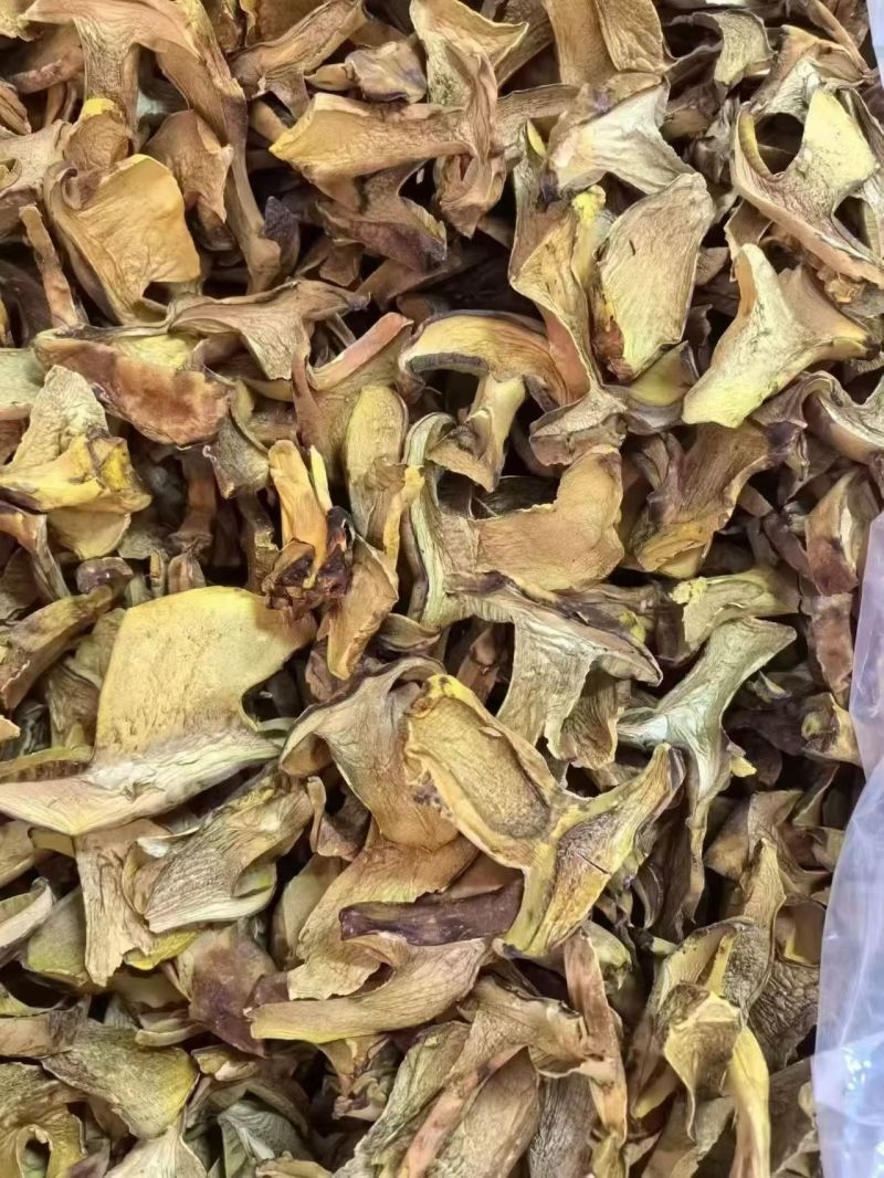 各类菌菇大量现货