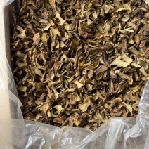 各类菌菇大量现货