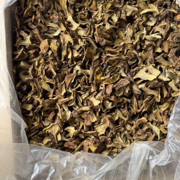 各类菌菇大量现货