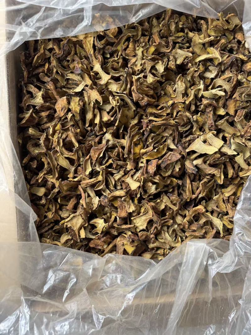 各类菌菇大量现货