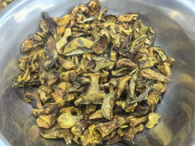 各类菌菇大量现货