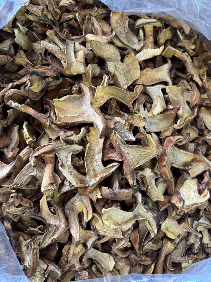 各类菌菇大量现货