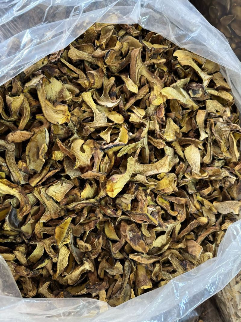 各类菌菇大量现货