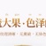 川西高原鬼臼果，无硫自然风干，不熏不染色可零售批发