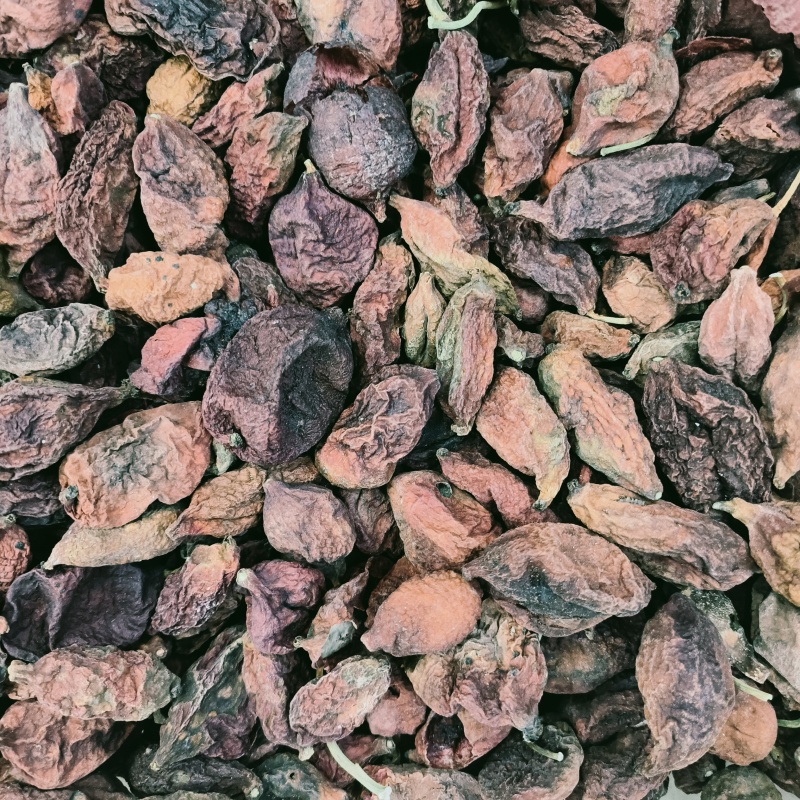 川西高原鬼臼果，无硫自然风干，不熏不染色可零售批发