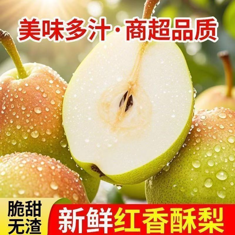 河北新梨7号大量上市中，口感脆甜多汁，量大优惠