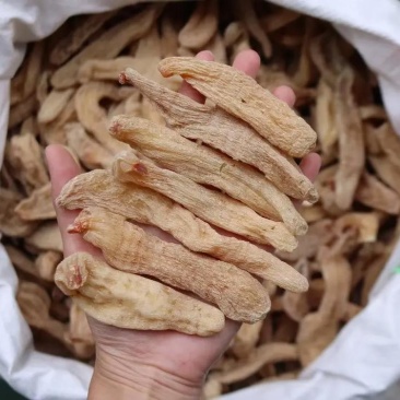 红杆红头天麻赤箭珍品，原生态山林名贵药材