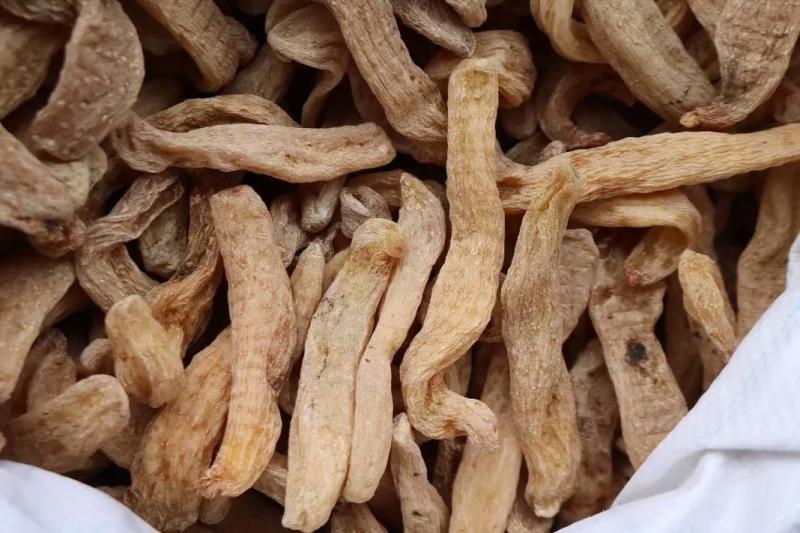 红杆红头天麻赤箭珍品，原生态山林名贵药材