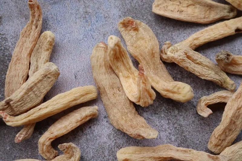 红杆红头天麻赤箭珍品，原生态山林名贵药材