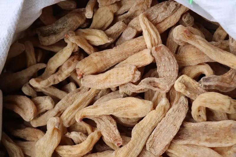 红杆红头天麻赤箭珍品，原生态山林名贵药材