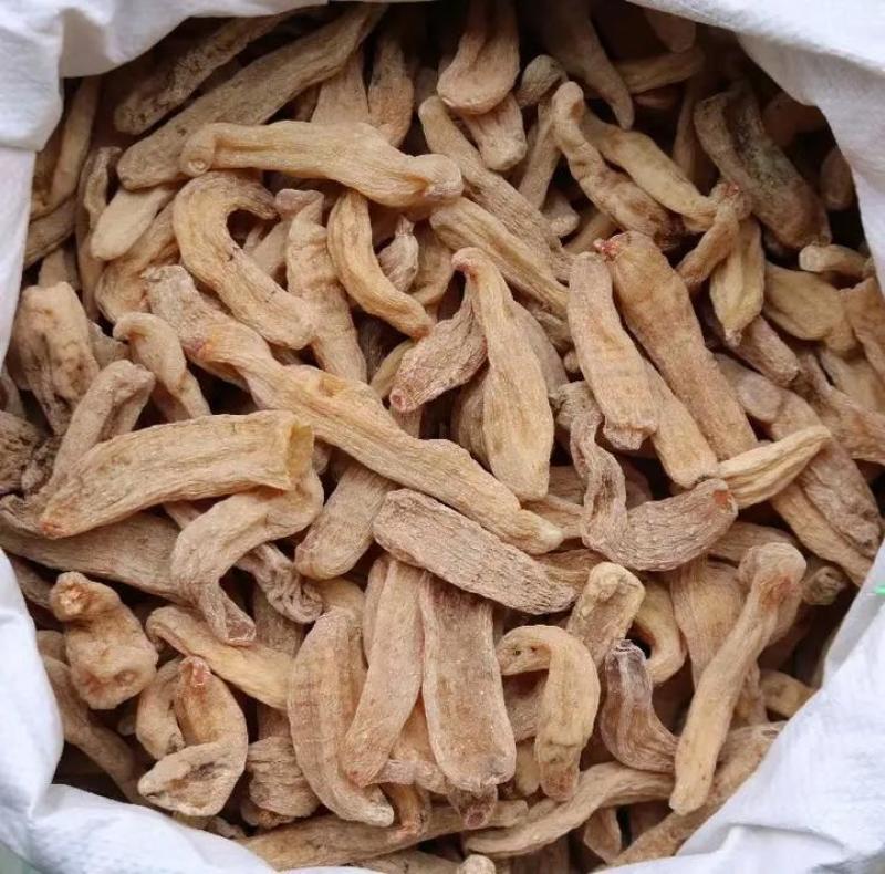 红杆红头天麻赤箭珍品，原生态山林名贵药材