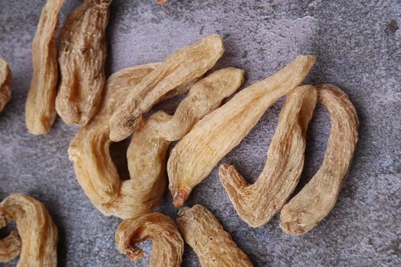 红杆红头天麻赤箭珍品，原生态山林名贵药材