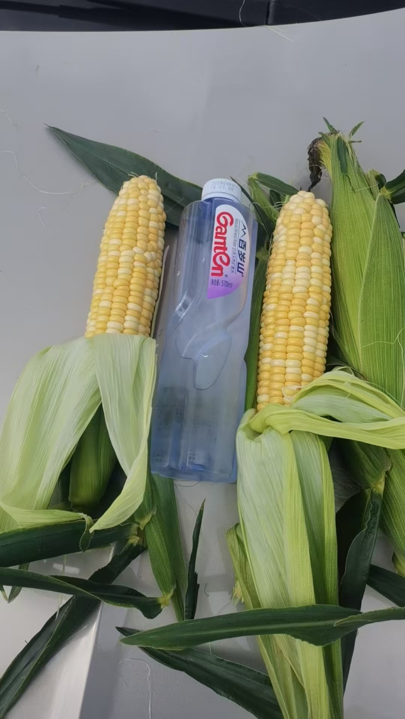 花超玉米