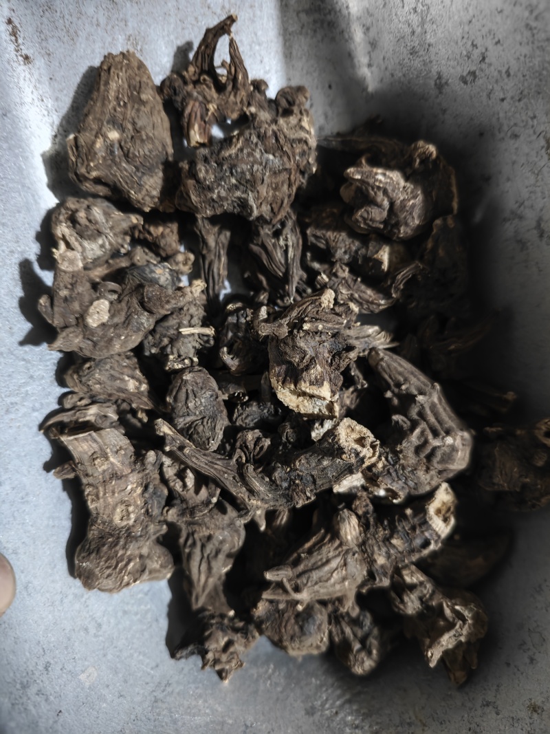 乌头干品一公斤起售欢迎大家下单产地江油