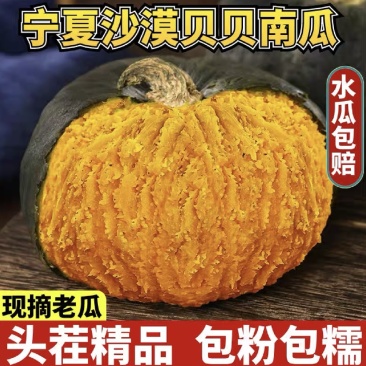 宁夏沙漠贝贝产地直供品质精品包粉包甜无水瓜大量供货